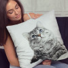 Custom Plush Cushions Lifestyle